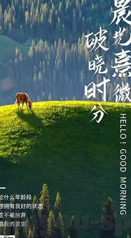 368竞彩足球比分-探秘368竞彩足球比分，一场数据与激情的碰撞盛宴