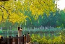 手机即时足球捷报比分-手机即时足球捷报比分，足球迷的随身情报站，让激情永不缺席