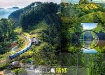 休球网足球比分-休球网足球比分，足球迷的实时数据宝藏库