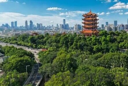 中国竞彩足球比分-中国竞彩足球比分，激情碰撞下的数据艺术与理性博弈