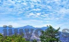 足球什么比分网最好-深度解析，足球比分网哪家强？五大维度助你精准选择